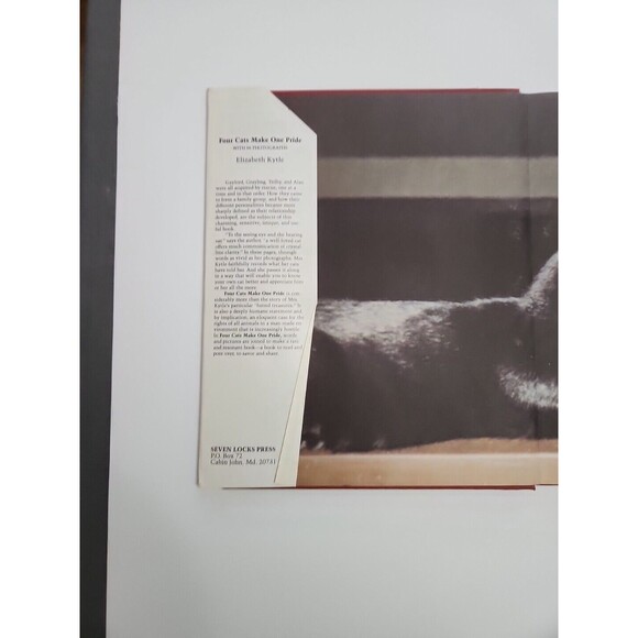 Four Cats Make One Pride - 1978 1st Edition Hardcover - Picture 3 of 6